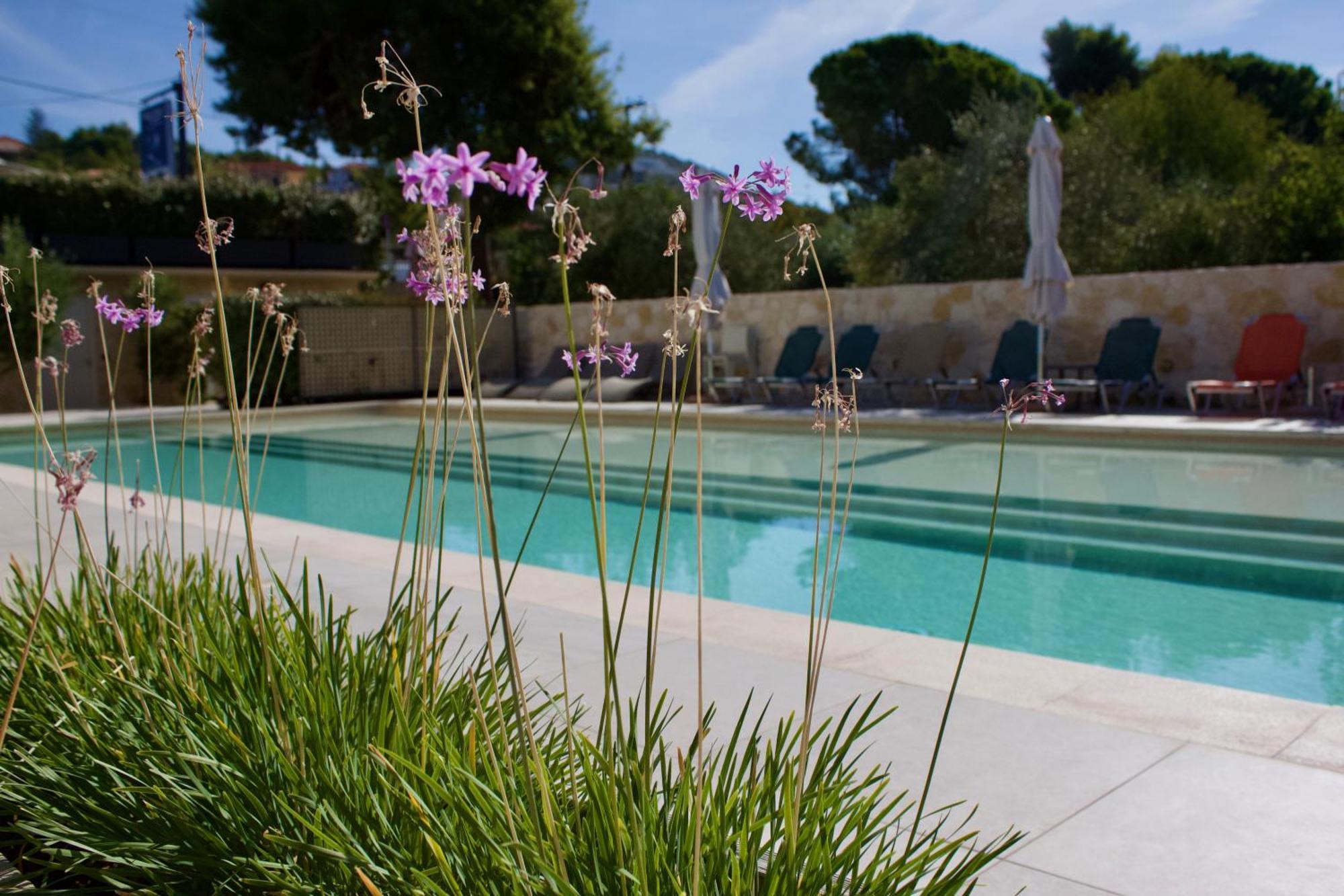 Makris Yialos Apartments Lassi  Luaran gambar